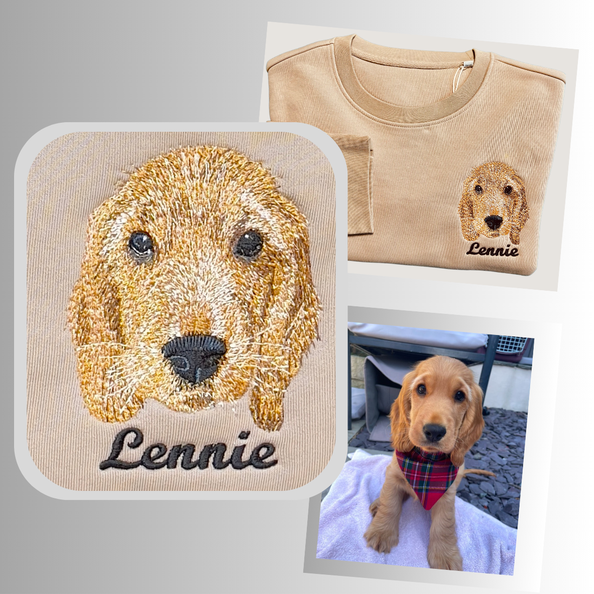 Cocker spaniel puppy embroidered on a sweatshirt