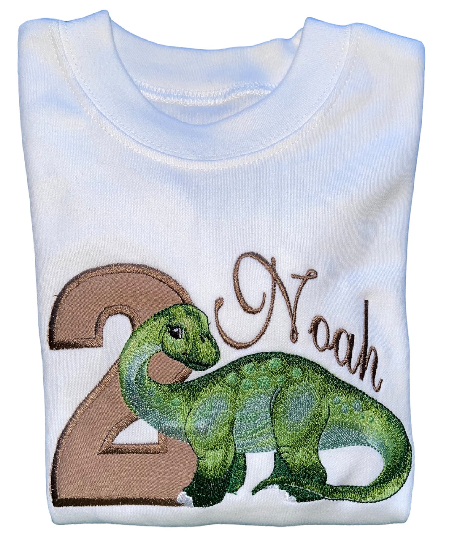 Personalised Diplodocus Birthday Sweatshirt – Top for Kids Birthday parties