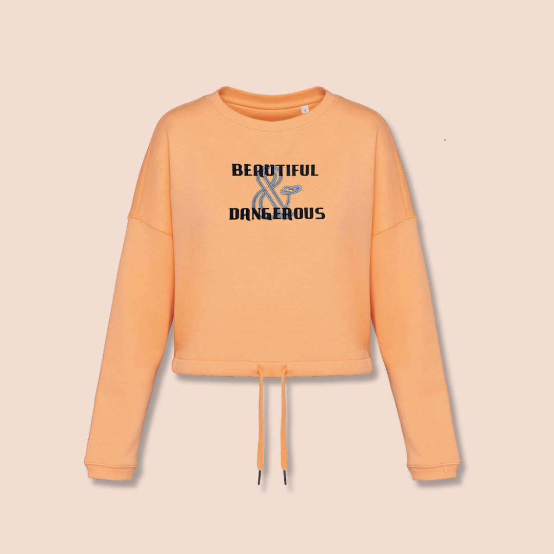 Beautiful & Dangerous - Inspirational Crop Sweatshirt