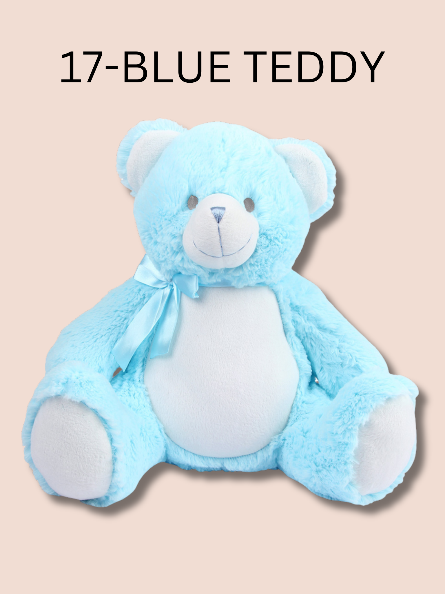 Blue teddy soft toy. Option number 17