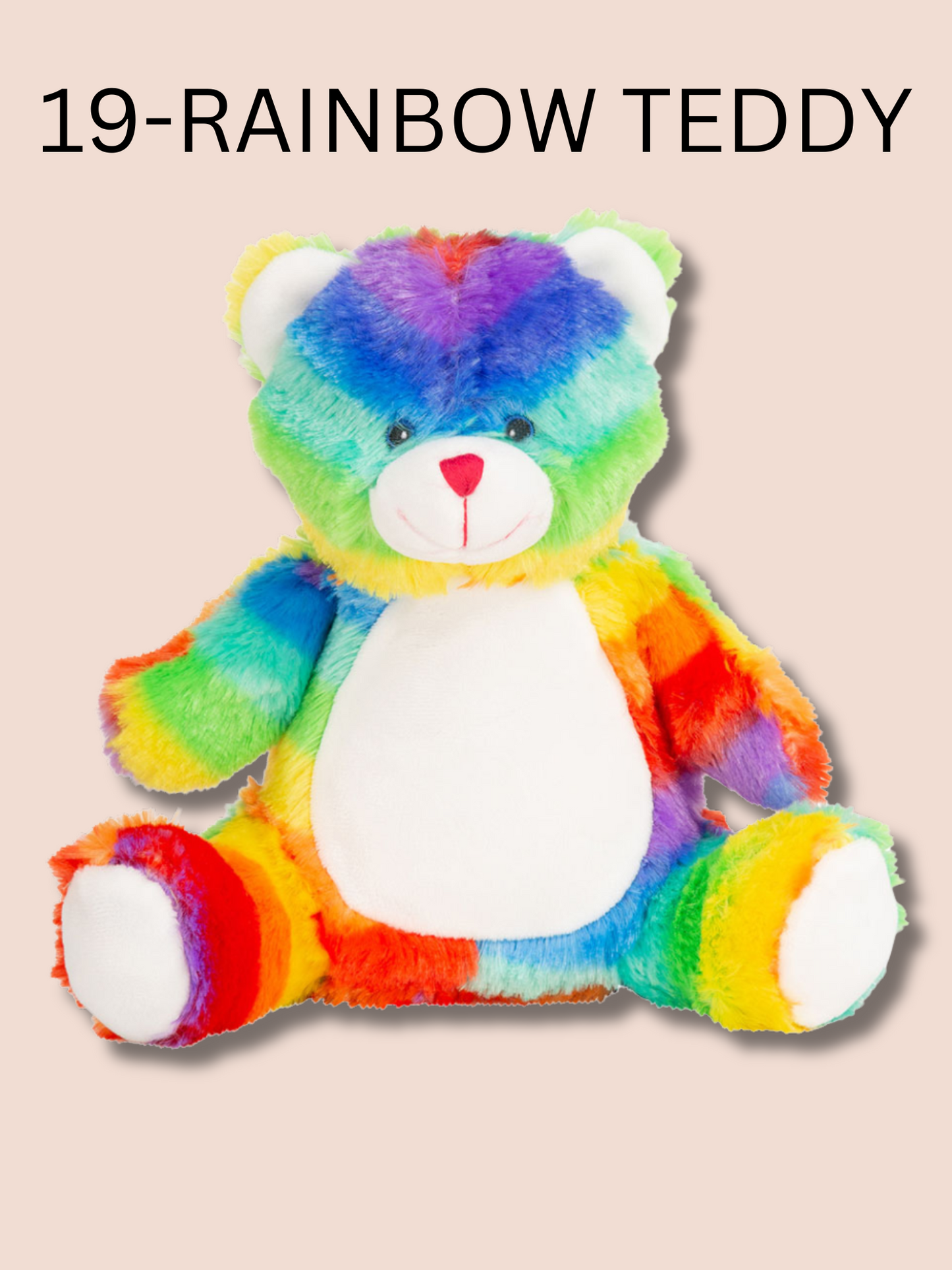 Rainbow teddy soft toy. Option number 19