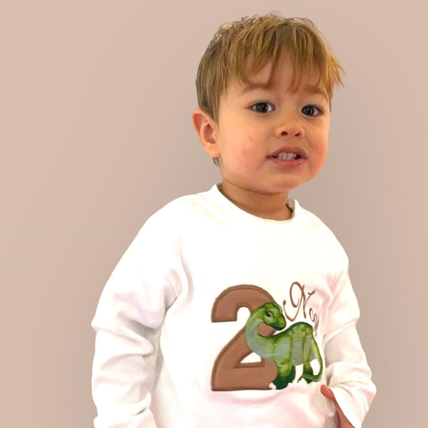 Diplodocus Birthday Sweatshirt – Personalised for Kids